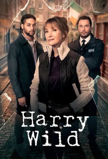 Plakat к сериалу "Harry Wild" #1401866