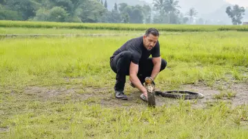 Zasłona do serialu "David Blaine: Do Not Attempt" #1538633