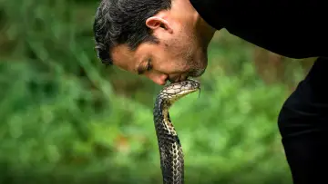 Zasłona do serialu "David Blaine: Do Not Attempt" #1538636