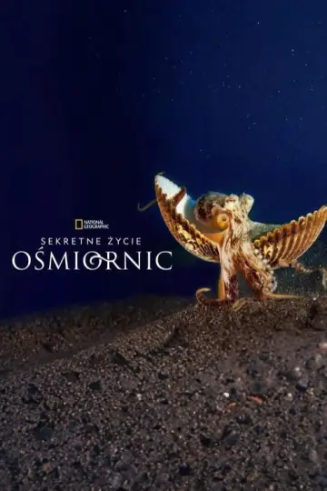Sekretne życie ośmiornic (2024)