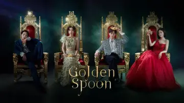 Zasłona do serialu "Golden Spoon" #1813023