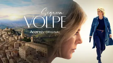 Zasłona do serialu "Signora Volpe" #1677218