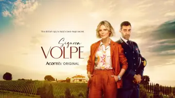 Zasłona do serialu "Signora Volpe" #1677220
