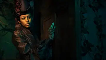 Zasłona do serialu "Wielkie nadzieje" #1543239