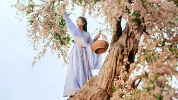 Zasłona к сериалу "七时吉祥" #1422204