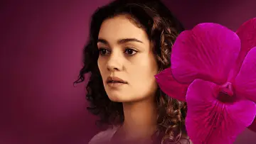 Zasłona do serialu "Todas as Flores" #1663672