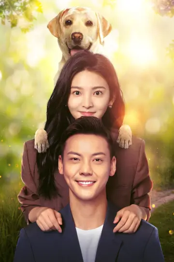 Plakat к сериалу "照亮你" #1419686