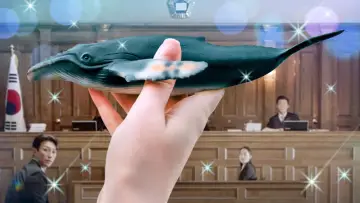 Zasłona к сериалу "Niezwykła prawniczka Woo" #1364614