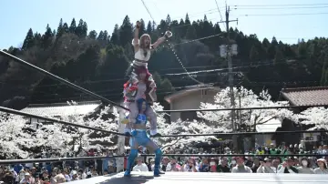 Zasłona к сериалу "Tokyo Joshi Pro-Wrestling" #1316750