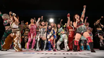 Zasłona do serialu "東京女子プロレス" #1815622