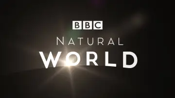 Zasłona к сериалу "Naturalny świat" #1315939