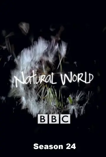 Sezon 24