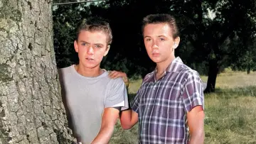 Zasłona do serialu "Bracia Hardy" #1813219