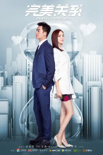 Idealny partner plakat
