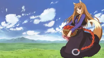 Zasłona к сериалу "Spice and Wolf" #1506260