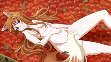 Zasłona к сериалу "Spice and Wolf" #1506261