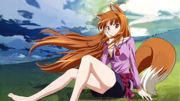 Zasłona к сериалу "Spice and Wolf" #1506265