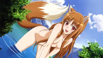 Zasłona к сериалу "Spice and Wolf" #1506268