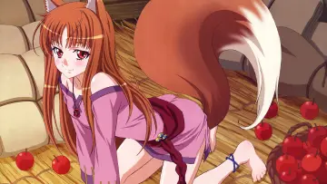 Zasłona к сериалу "Spice and Wolf" #1506269