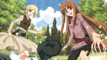 Zasłona к сериалу "Spice and Wolf" #1506272