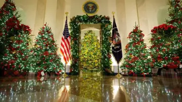 Zasłona do serialu "White House Christmas" #1558718