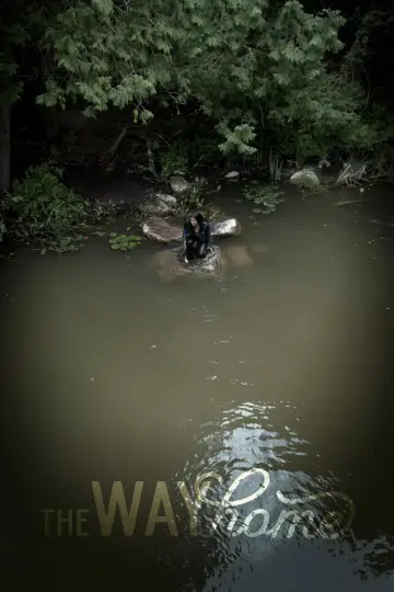 Plakat к сериалу "The Way Home" #1431572