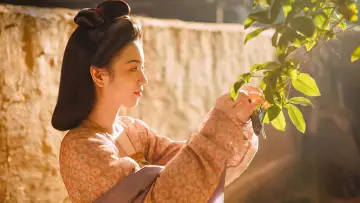 Zasłona do serialu "Droga Litchi" #1476047