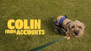 Zasłona к сериалу "Colin from Accounts" #1225205