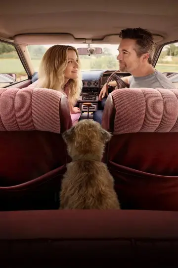 Plakat do serialu "Colin from Accounts" #1657920