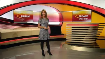 Zasłona do serialu "Brisant" #1588991