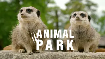 Zasłona do serialu "Animal Park" #1342979