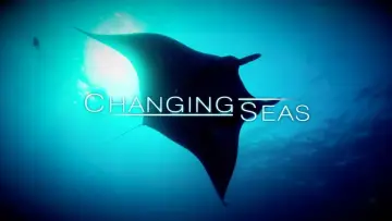 Zasłona do serialu "Changing Seas" #1398008