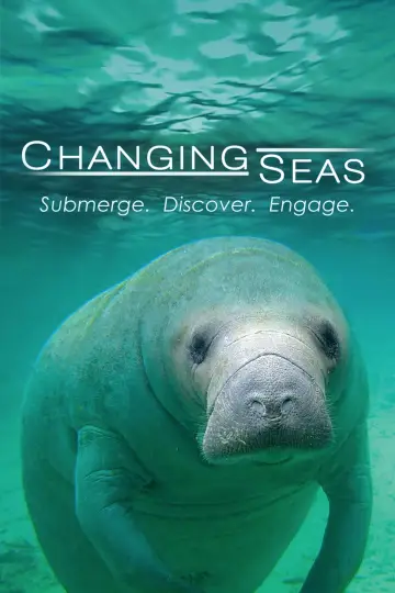 Changing Seas plakat