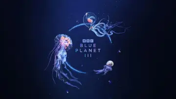 Zasłona do serialu "Blue Planet III" #1846340