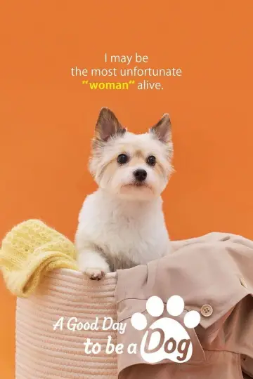 Plakat do serialu "A Good Day To Be a Dog" #1663981