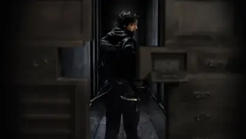 Zasłona do serialu "Dom ninja" #1437713