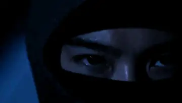 Zasłona do serialu "Dom ninja" #1437716