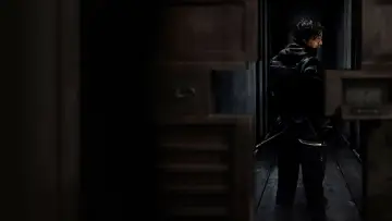 Zasłona do serialu "Dom ninja" #1437723