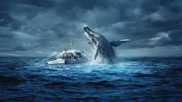 Zasłona к сериалу "Odwet oceanu" #1409497