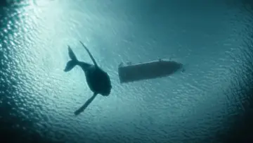Zasłona к сериалу "Odwet oceanu" #1409503