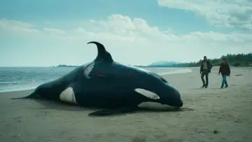 Zasłona к сериалу "Odwet oceanu" #1409504