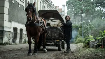 Zasłona к сериалу "The Walking Dead: Daryl Dixon" #1325512