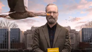 Zasłona do serialu "Szczęściarz Hank" #1854220
