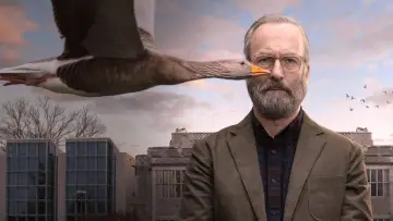 Zasłona do serialu "Szczęściarz Hank" #1854228