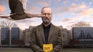 Zasłona do serialu "Szczęściarz Hank" #1854234