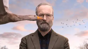 Zasłona do serialu "Szczęściarz Hank" #1854249