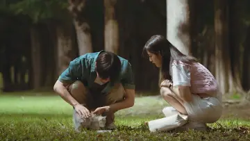 Zasłona к сериалу "Twinkling Watermelon" #1388392