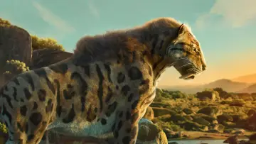 Zasłona к сериалу "Życie na planecie Ziemia" #1446524