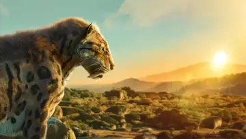 Zasłona к сериалу "Życie na planecie Ziemia" #1446526