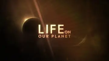 Zasłona к сериалу "Życie na planecie Ziemia" #1446533